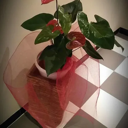 住宿加早餐酒店 Da Noi 2*