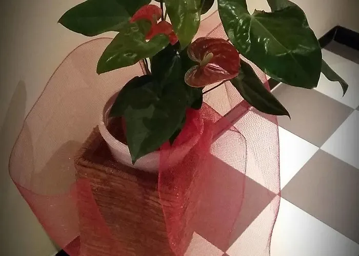 Bed & Breakfast Da Noi 2*